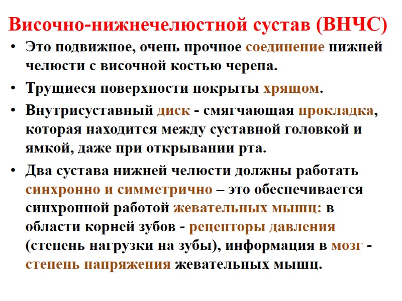 Височно-нижнечелюстной сустав (ВНЧС) Это подвижное, очень прочное соединение нижней челюсти с височной костью черепа.